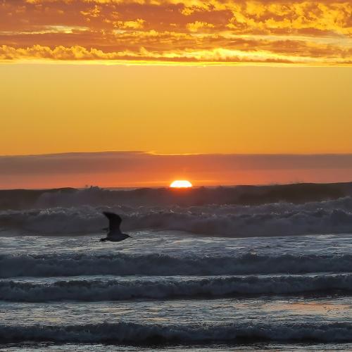 Photo #4592970
