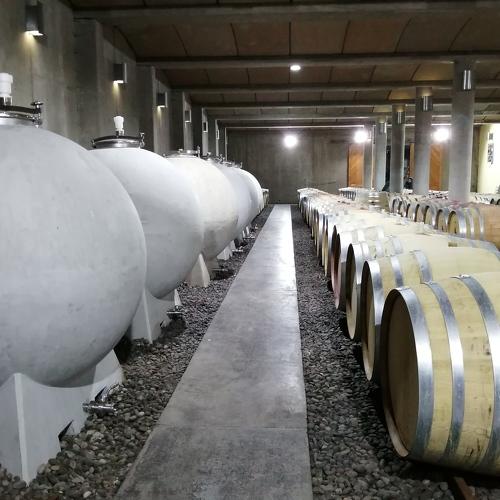 Photo #4593012