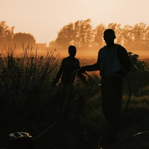 Photo #4593572