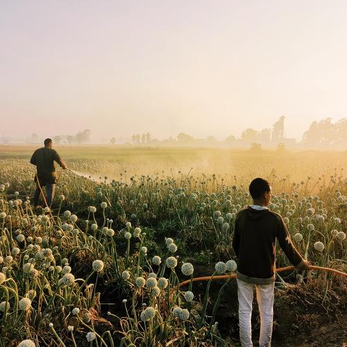 Photo #4593576