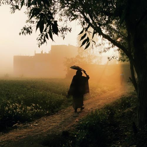Photo #4593581