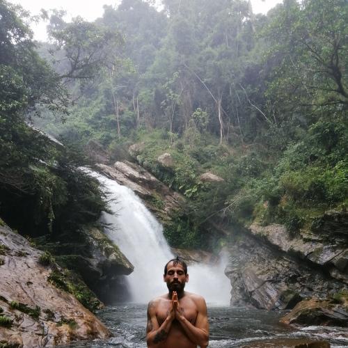 Photo #4593802