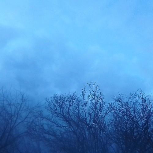 Photo #4593815