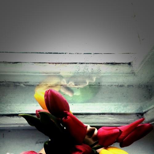 Photo #4593860