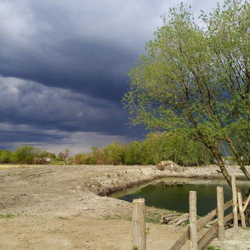 Photo #4594097