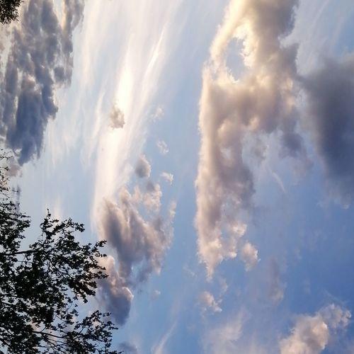 Photo #4594539