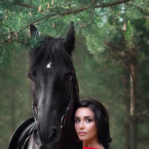 Photo #4594565