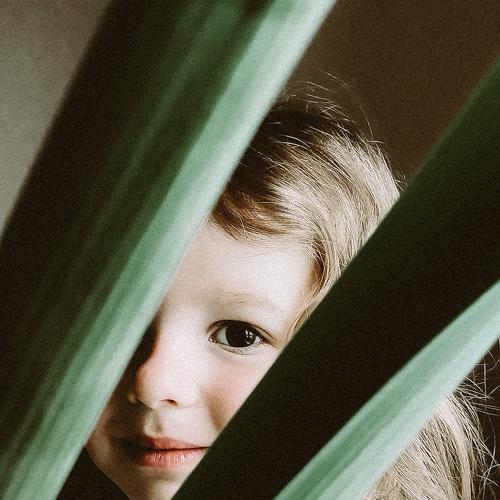 Photo #4594629