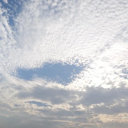 Photo #4594874