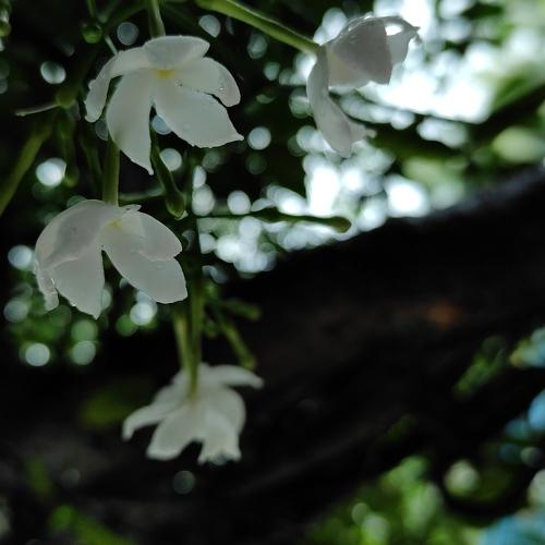 Photo #4595006