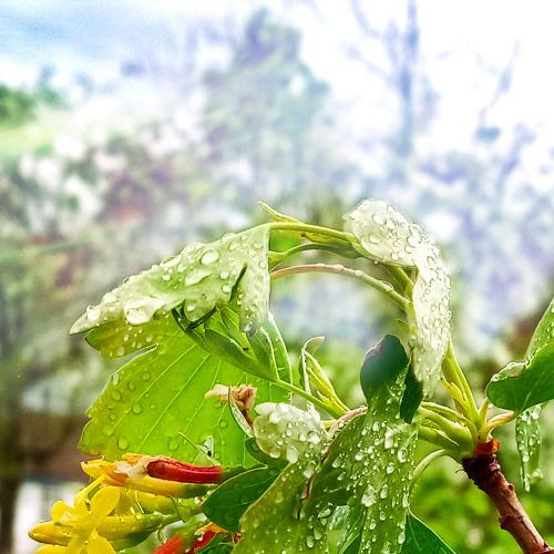 Photo #4595202