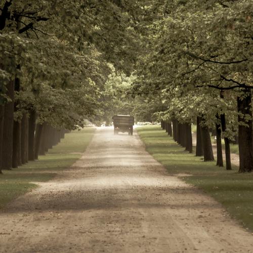 Photo #4595415