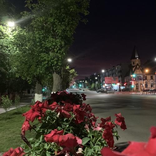 Photo #4595515