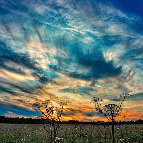Photo #4595797
