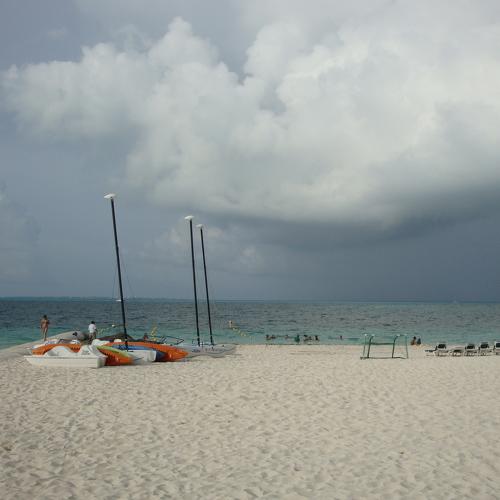 Photo #4595956