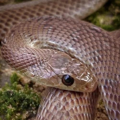 Photo #4596148