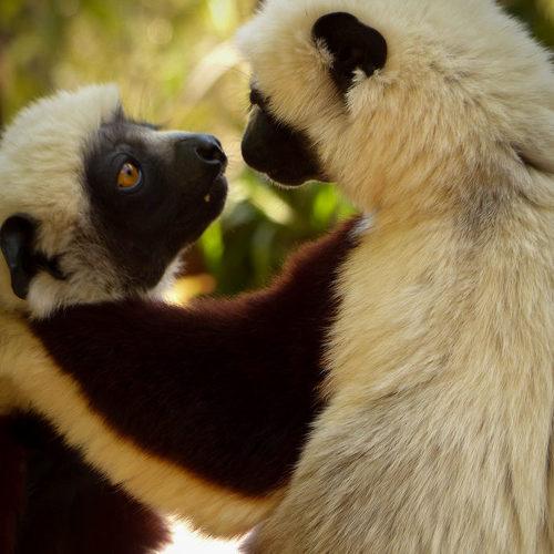 Photo #4596277