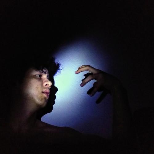 Photo #4596447