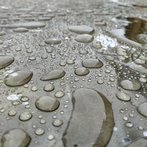 Photo #4596483