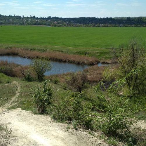 Photo #4597178