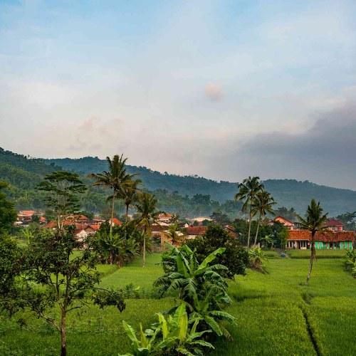 Photo #4597869