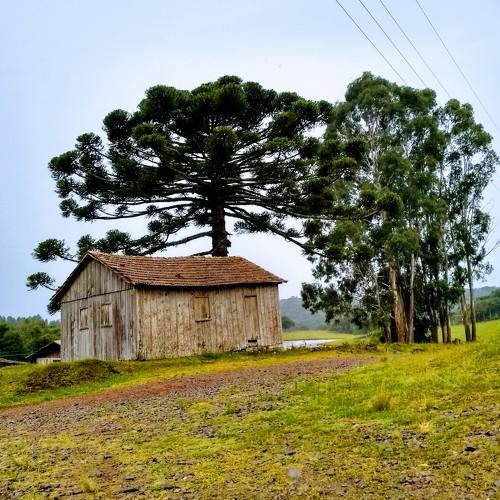 Photo #4598231