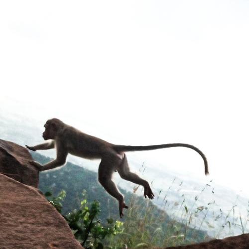 Photo #4598268