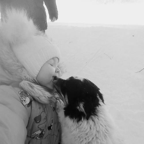 Photo #4598306