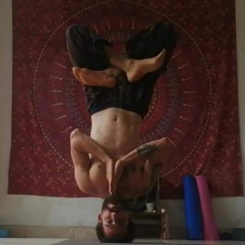 Photo #4598329