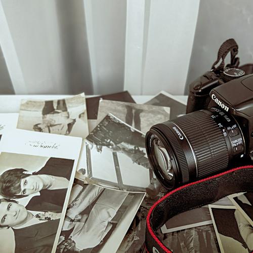 Photo #4598458