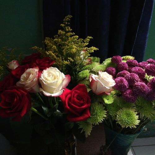 Photo #4598500