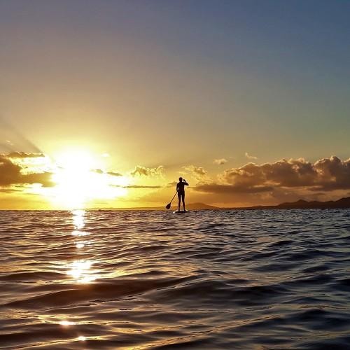 Photo #4598536
