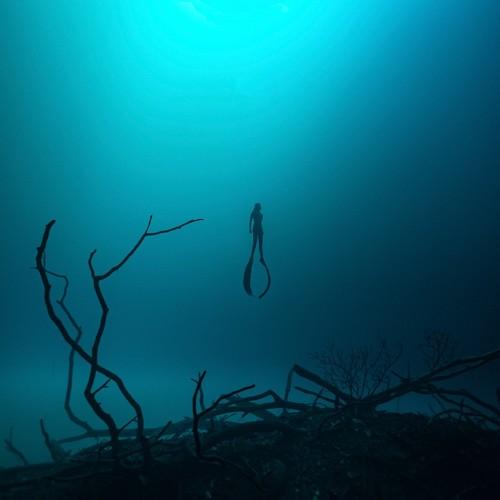 Photo #4598538