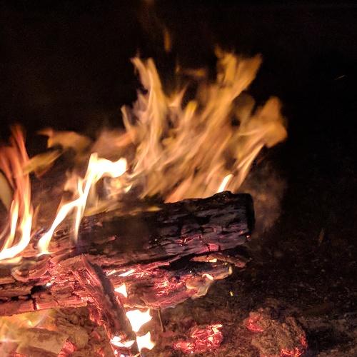 Photo #4598799