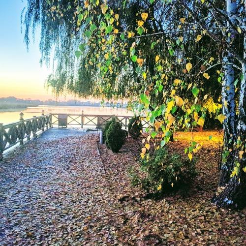 Photo #4598800