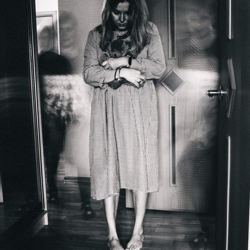 Photo #4599014