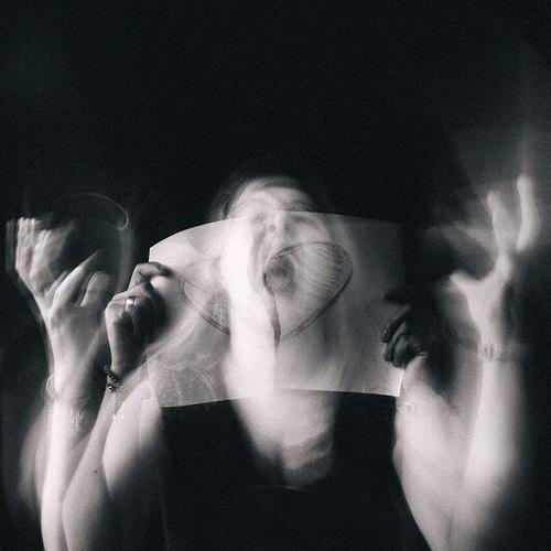 Photo #4599024
