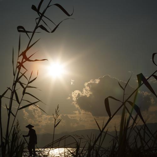Photo #4599089