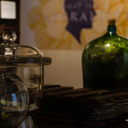 Photo #4599396