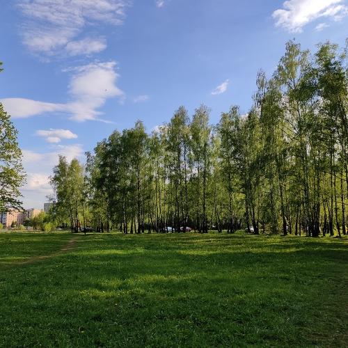 Photo #4599590
