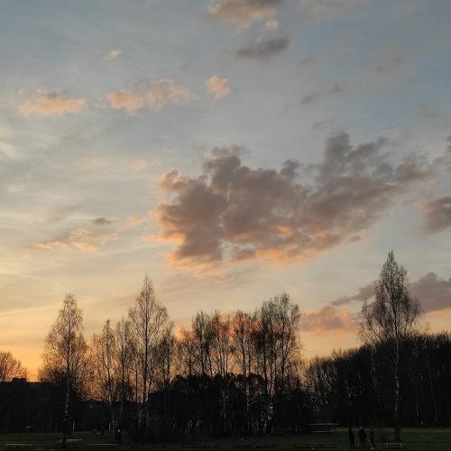 Photo #4599597