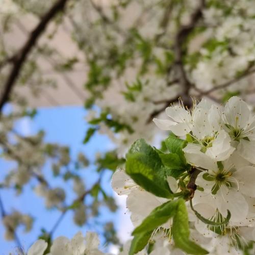 Photo #4599609