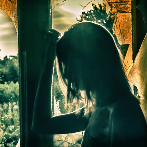 Photo #4599841