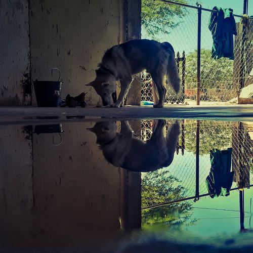 Photo #4600274