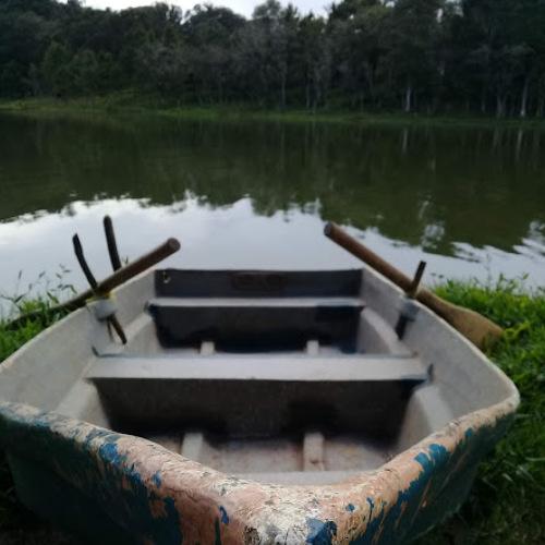 Photo #4600583