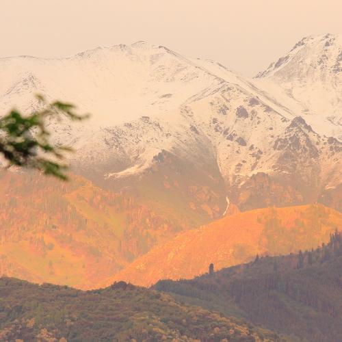 Photo #4600591