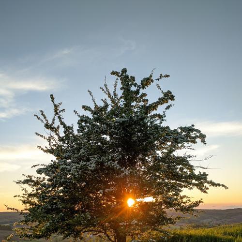 Photo #4600612