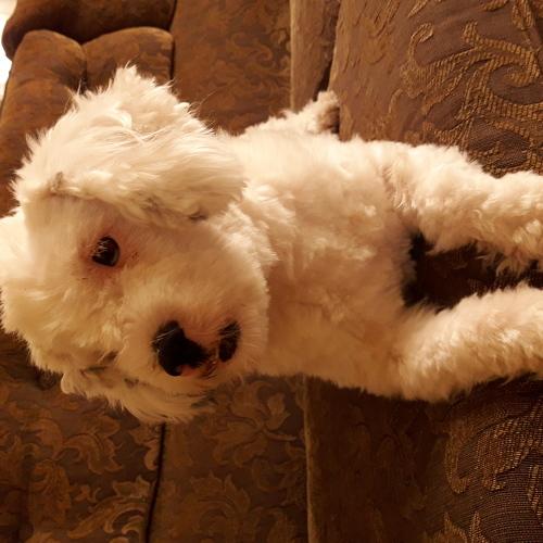 Photo #4600906