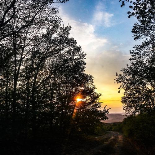 Photo #4600981