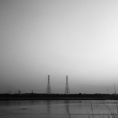 Photo #4601139